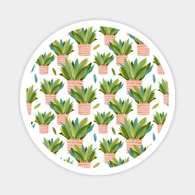 Potted Snake Plant Magnet by MollyFergusonArt